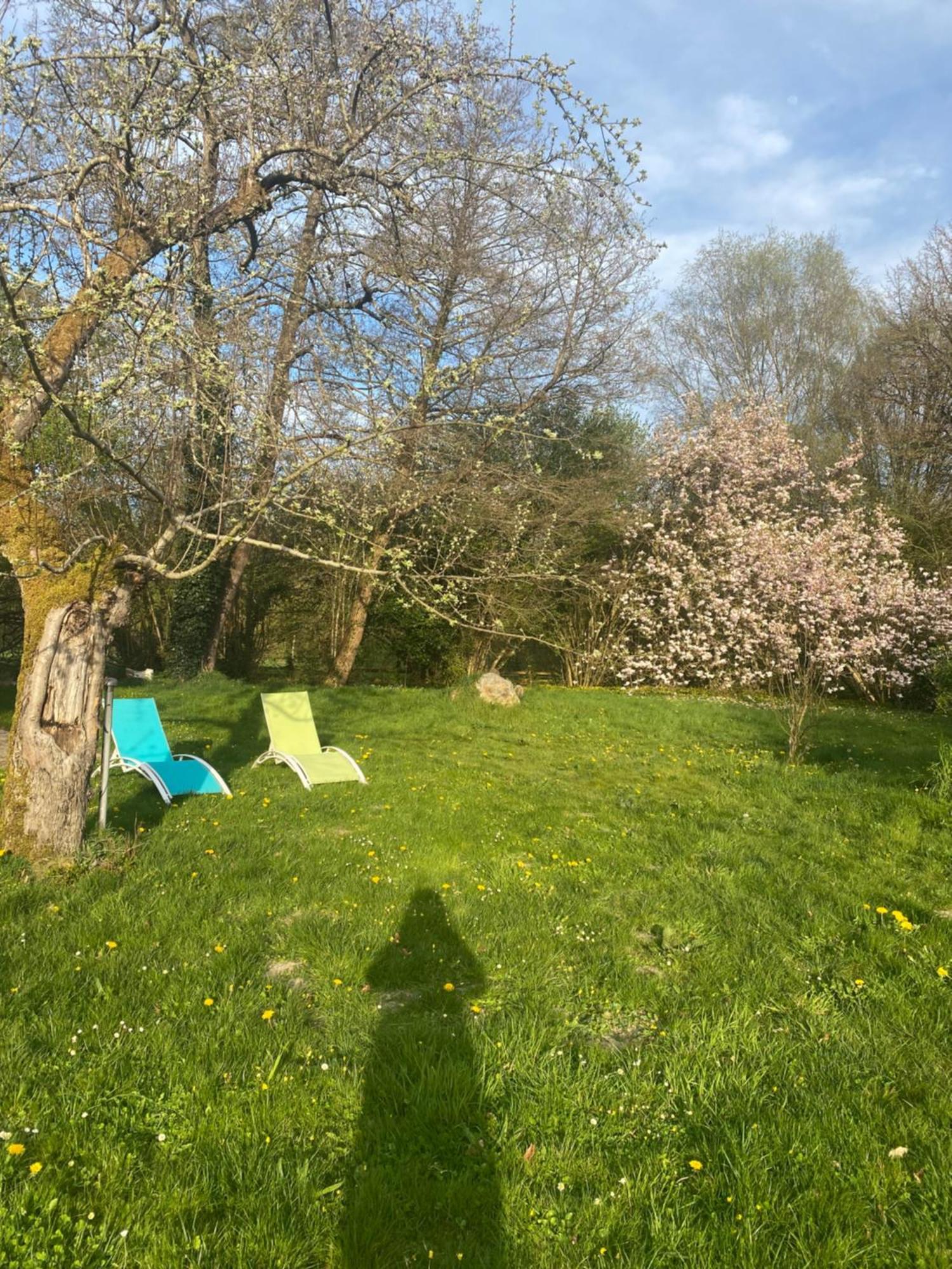 Moulin De Boiscorde, Centre Perche Bed & Breakfast Rémalard Dış mekan fotoğraf
